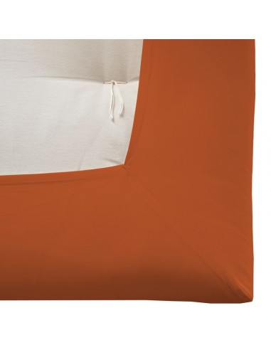 Fitted sheet, cotton Percal éculeil