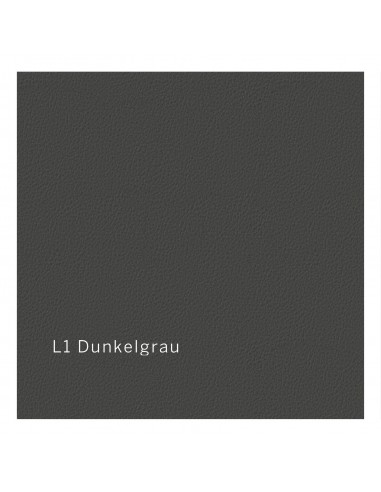 Bezug  L1 dunkelgrau