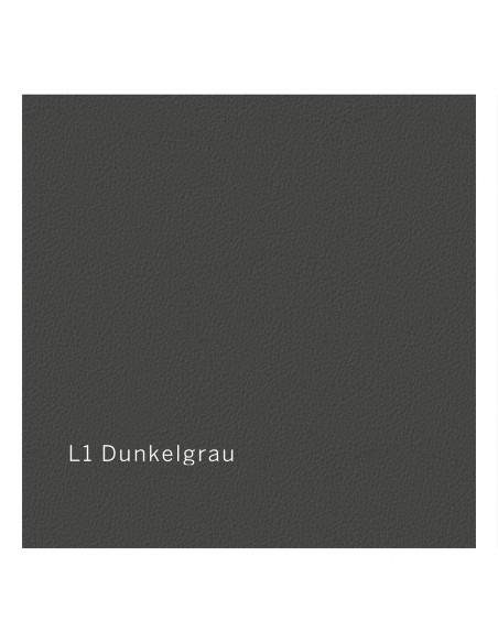 Bezug  L1 dunkelgrau