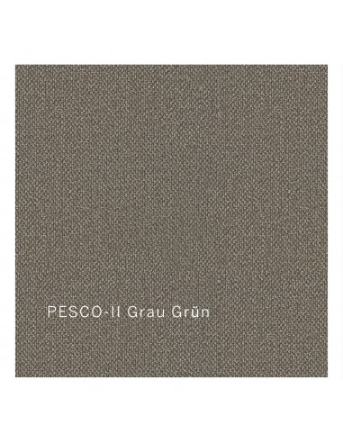 Stoffbezug PESCO-II grau grün