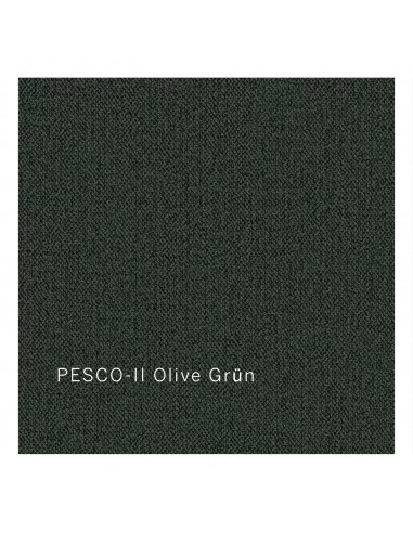 Stoffbezug PESCO-II olive grün