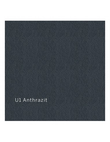Cover U1 anthracite