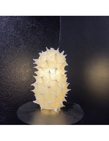 Japan handgefertigte Papierleuchte Shibori KVS-1 in der Ausstellung.