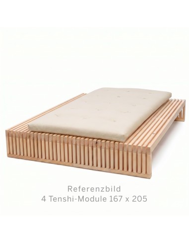Tenshi with Branch Structure – Outlet